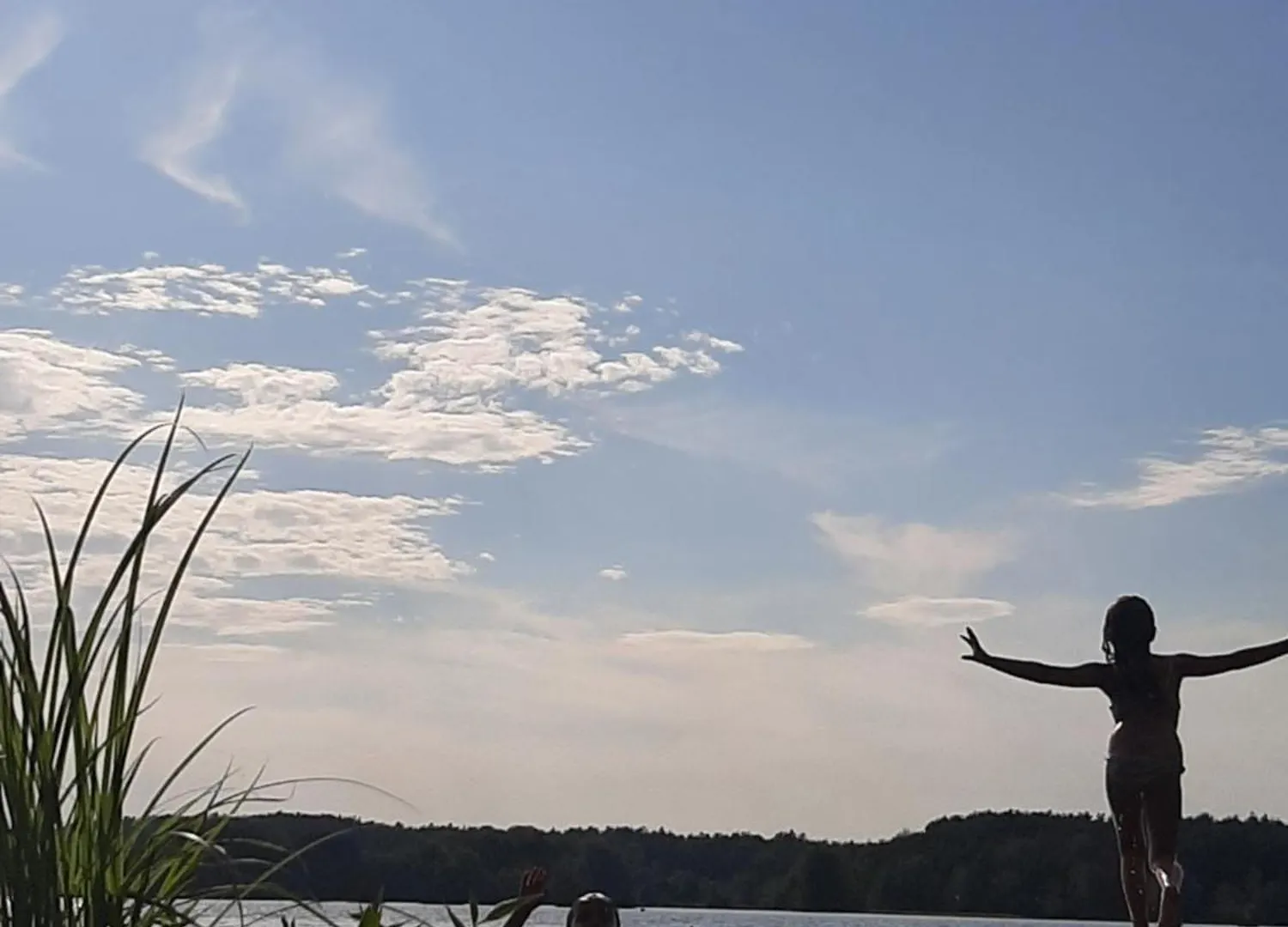 Hébergement de vacances Bungalow Direkt Am See, Mit Eigenem Boot Roding Allemagne