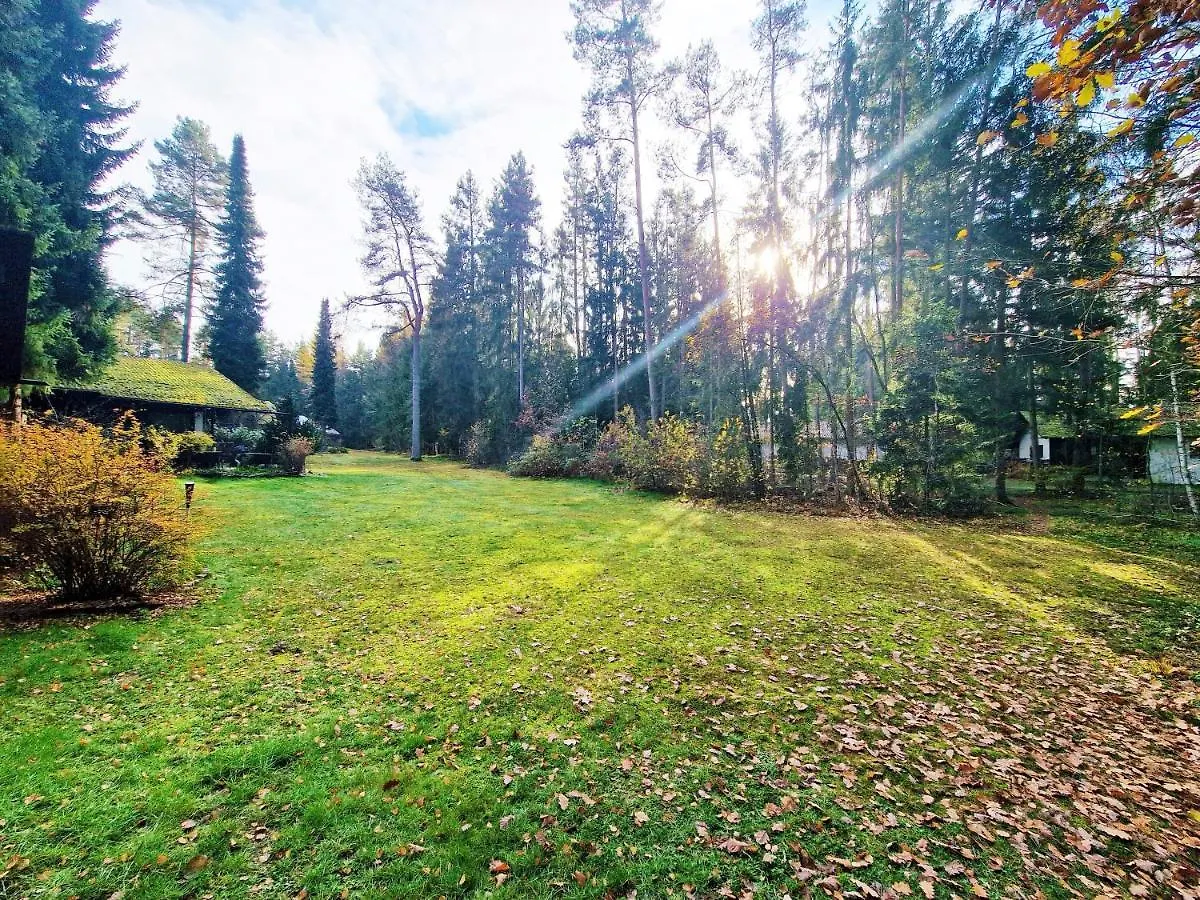 Bungalow Direkt Am See, Mit Eigenem Boot Roding Germany