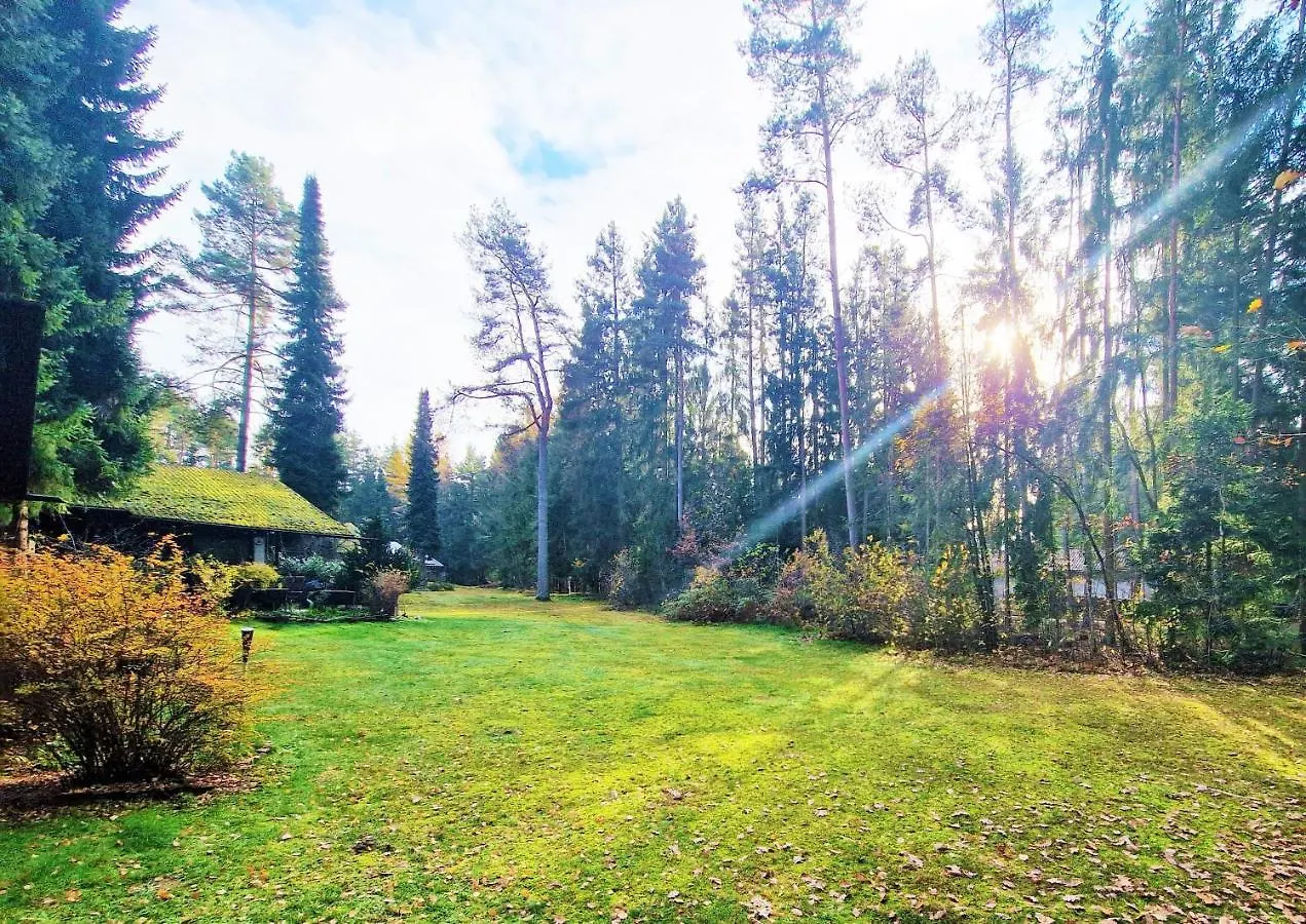 Bungalow Direkt Am See, Mit Eigenem Boot Roding