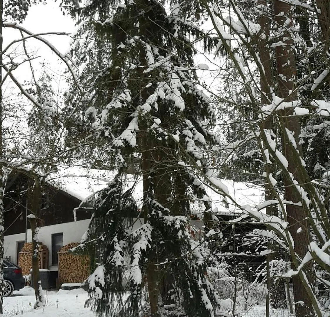Bungalow Direkt Am See, Mit Eigenem Boot Roding Germany