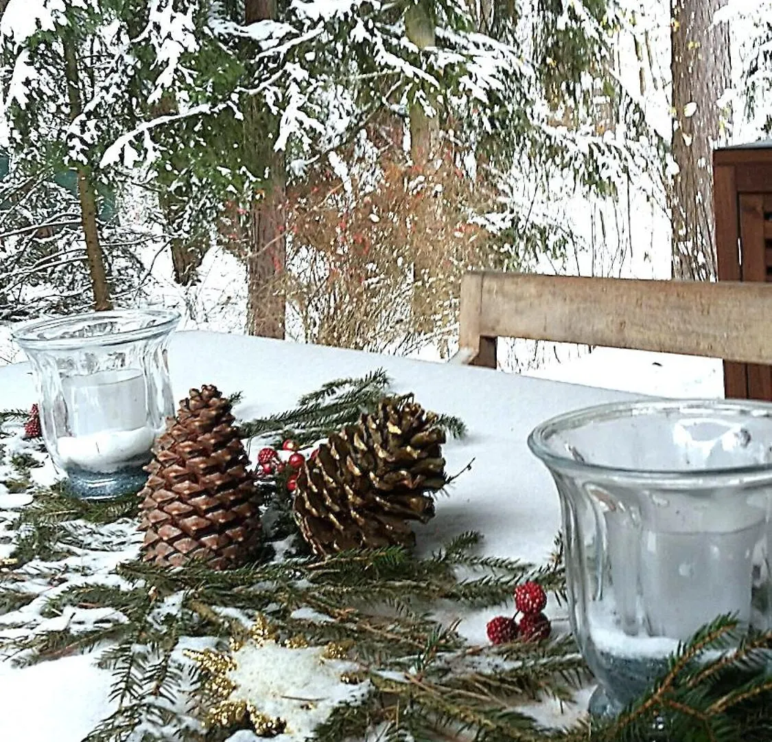 Bungalow Direkt Am See, Mit Eigenem Boot Roding