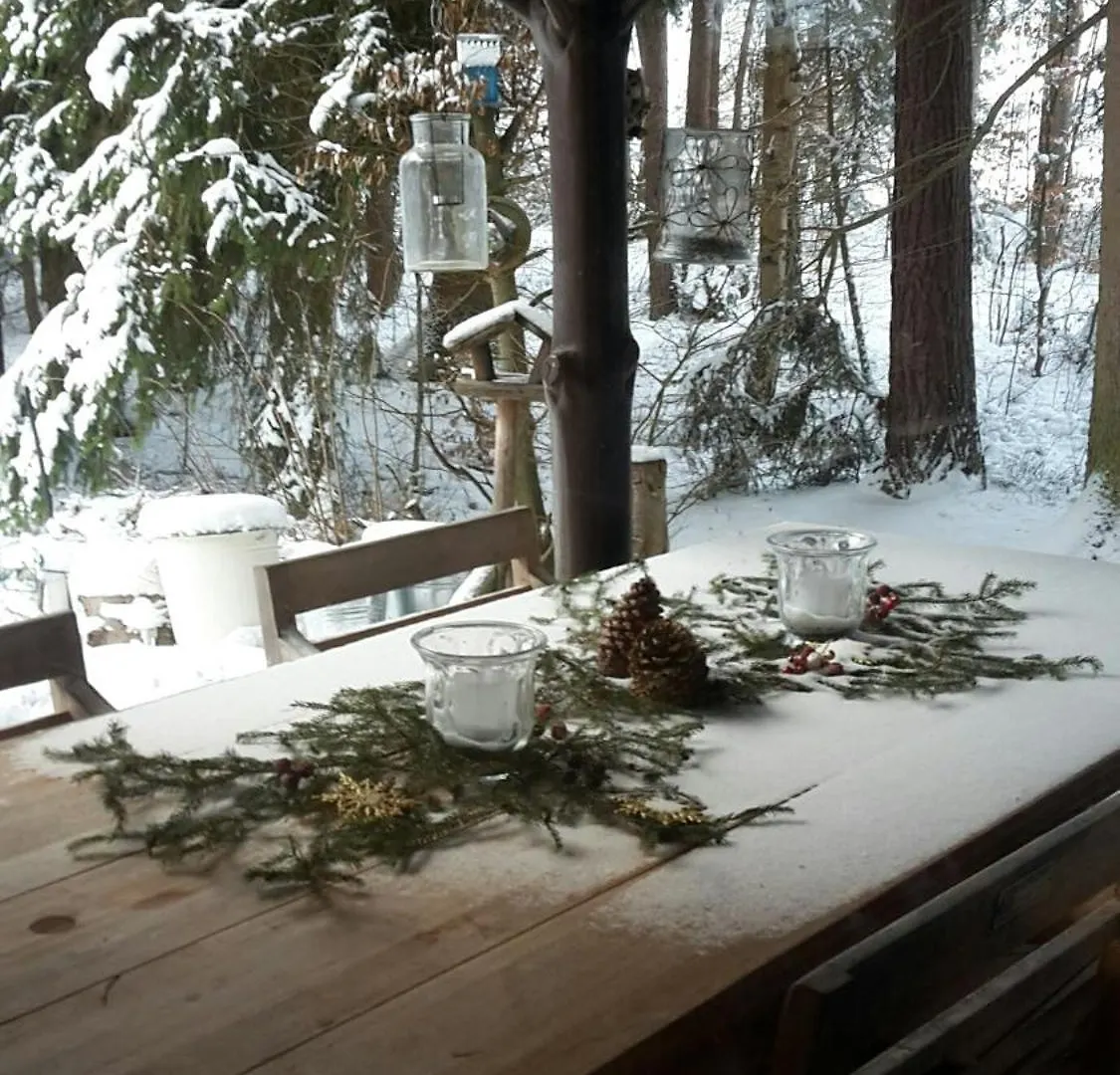 Bungalow Direkt Am See, Mit Eigenem Boot Roding 0*,