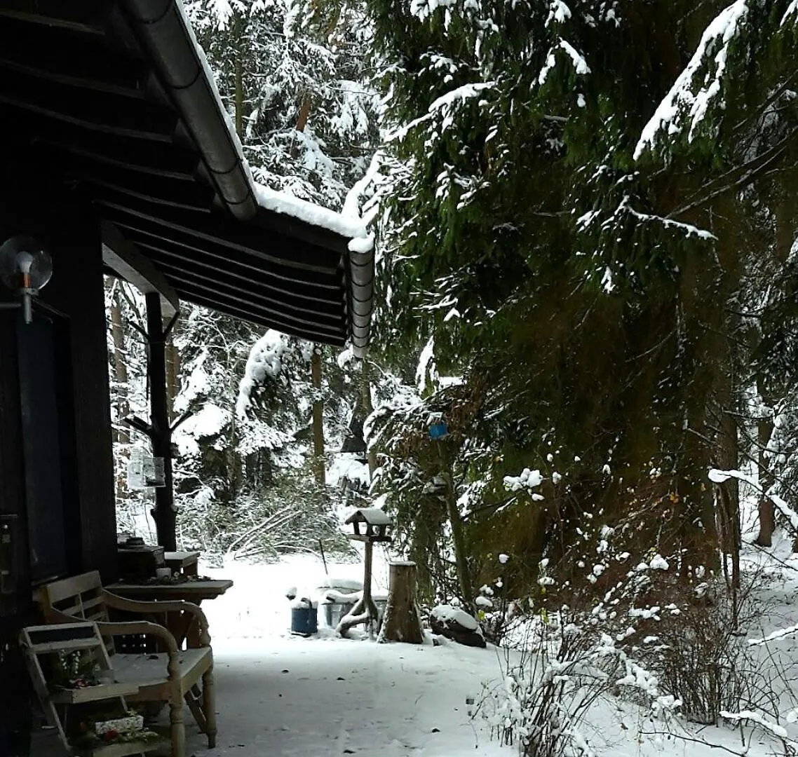 Holiday home Bungalow Direkt Am See, Mit Eigenem Boot Roding