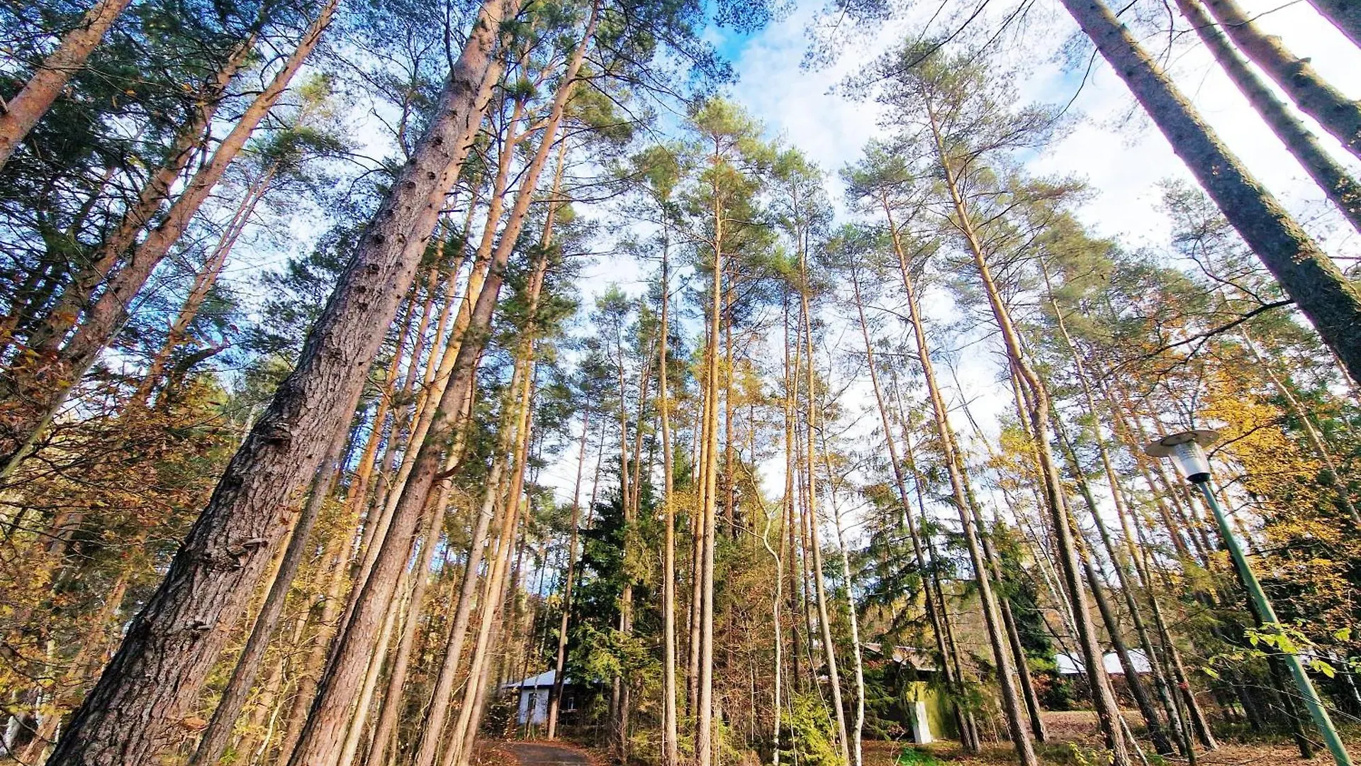 Holiday home Bungalow Direkt Am See, Mit Eigenem Boot Roding