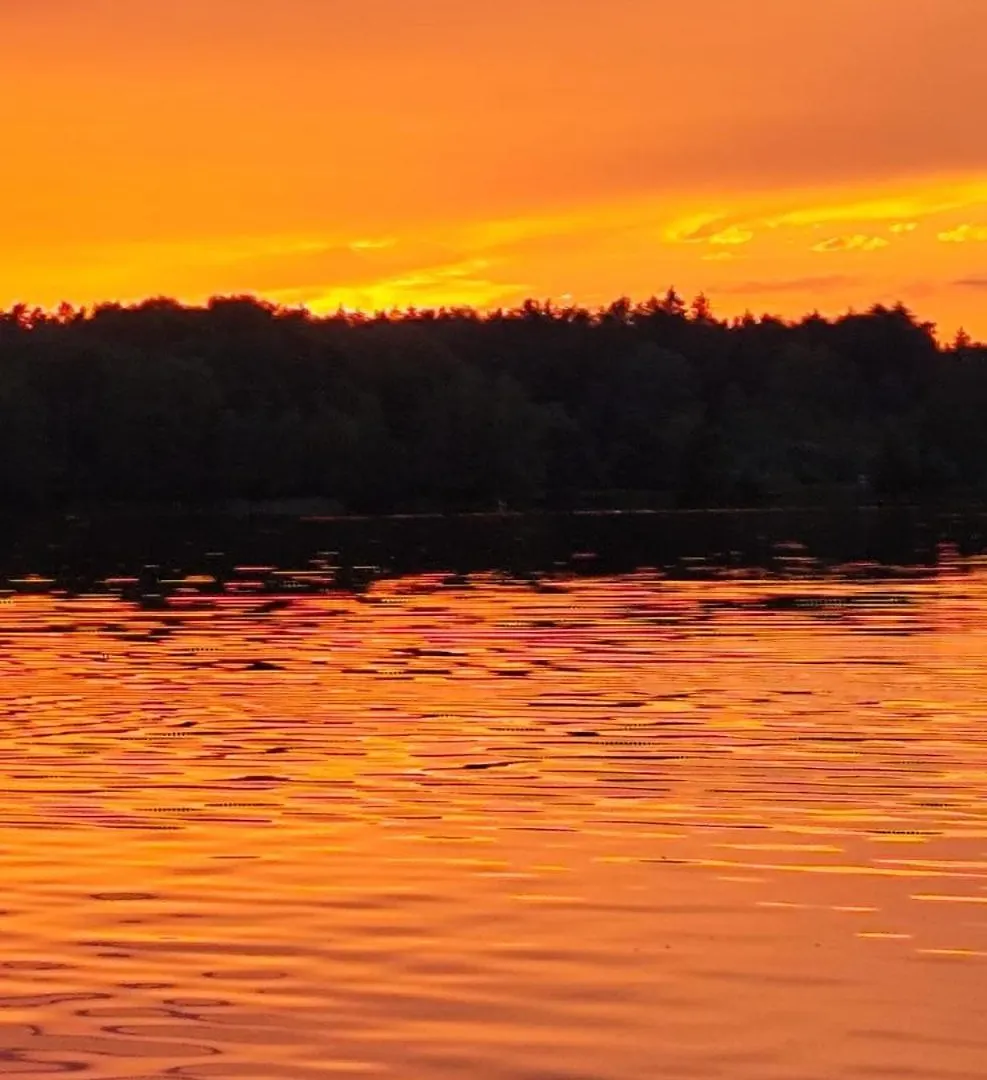 Bungalow Direkt Am See, Mit Eigenem Boot Roding Holiday home