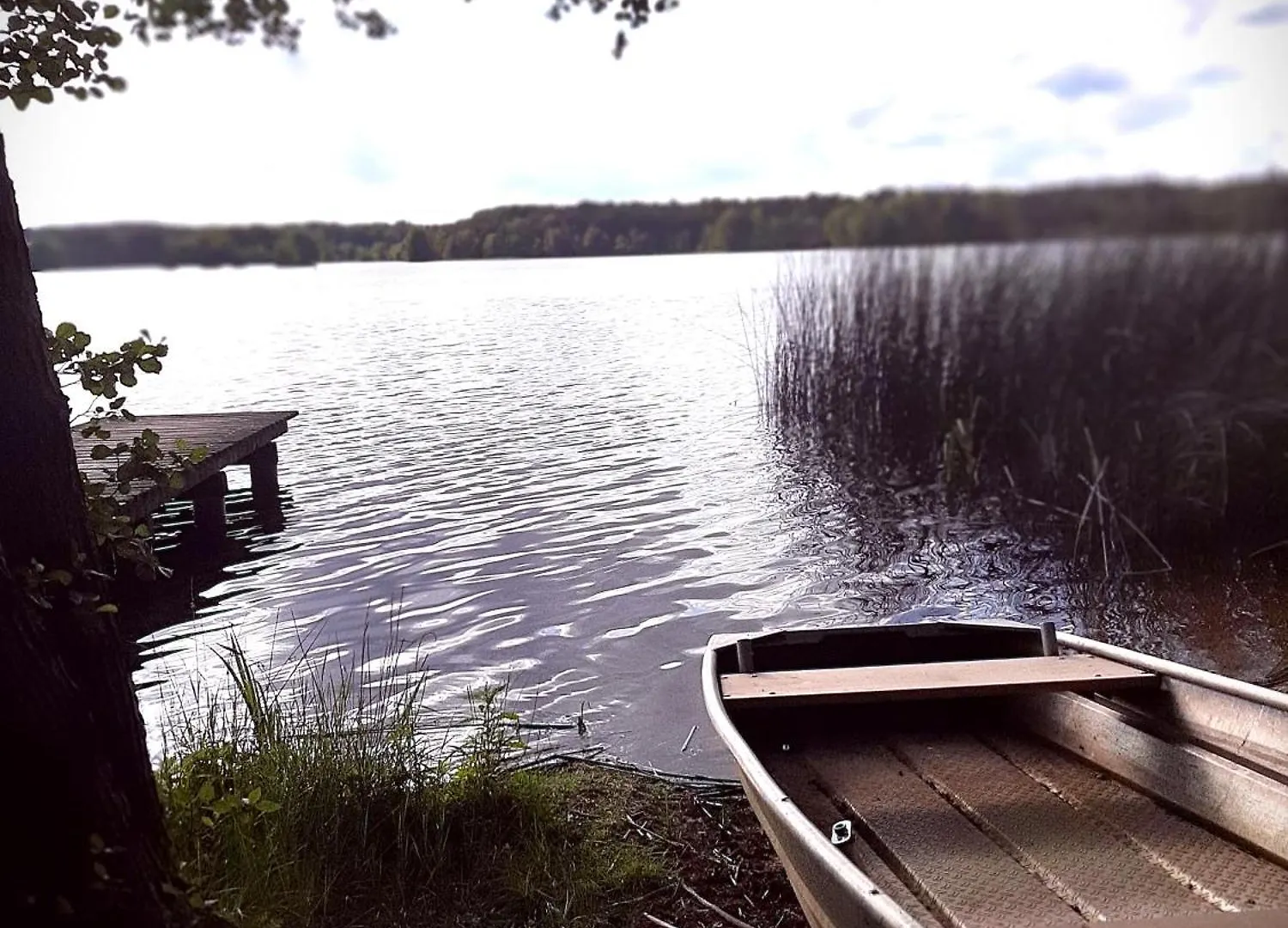 Bungalow Direkt Am See, Mit Eigenem Boot Roding Holiday home